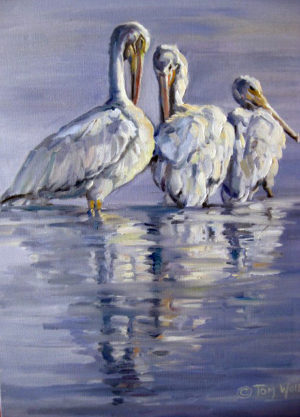 Pelicans